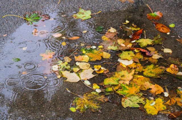 Prognoza meteo - 7 noiembrie 2022. Cer &icirc;nnorat și ploi &icirc;n mare parte a țării