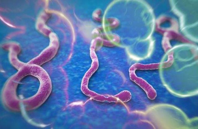 Preotul spaniol infectat cu Ebola a decedat