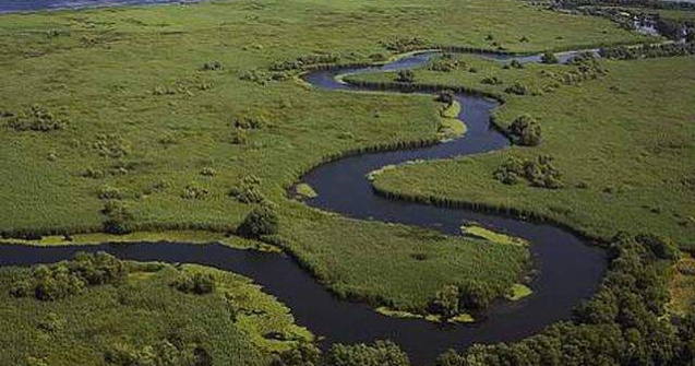 Delta Dunarii, "adusa" in Capitala pe malul Dambovitei