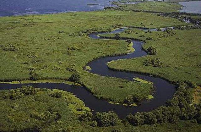 Delta Dunarii, "adusa" in Capitala pe malul Dambovitei