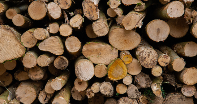 Ordonanța care plafonează prețul lemnelor de foc, adoptată tacit de Senat. Urmează să ajungă la Camera Deputaților