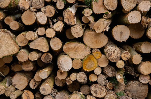 Ordonanța care plafonează prețul lemnelor de foc, adoptată tacit de Senat. Urmează să ajungă la Camera Deputaților 