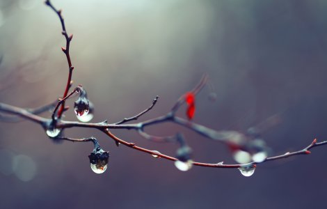 Prognoza meteo ANM pentru joi, 10 noiembrie. Unde se vor înregistra ploi