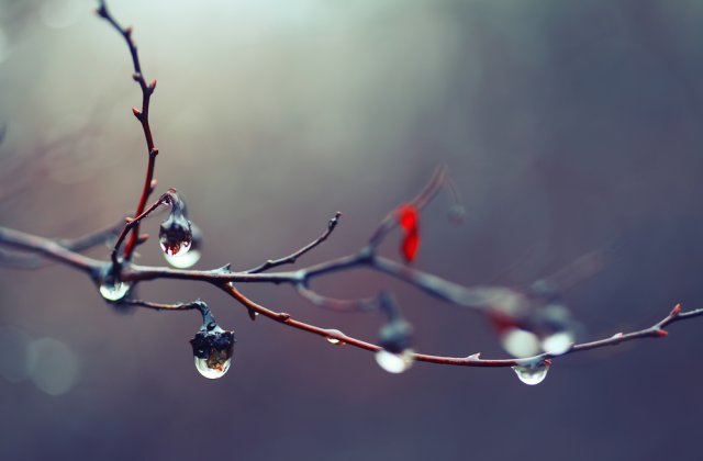 Prognoza meteo ANM pentru joi, 10 noiembrie. Unde se vor &icirc;nregistra ploi