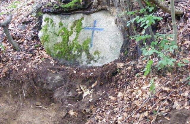 Ramasitele lui Toader si Avisalon Susman vor fi recuperate