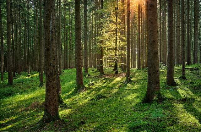 Prognoza meteo: Cum va fi vremea la inceputul saptamanii