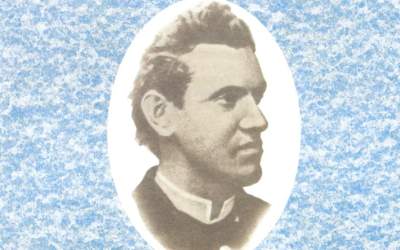 Senatul vrea să instituie...