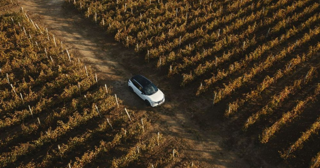 De veghe în lanul de... viță de vie: În căutarea apusului perfect cu Nissan Qashqai e-Power