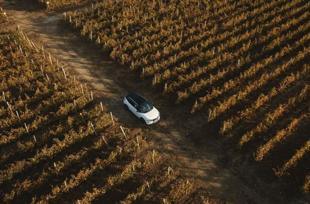 De veghe &icirc;n lanul de... viță de vie: &Icirc;n căutarea apusului perfect cu Nissan Qashqai e-Power