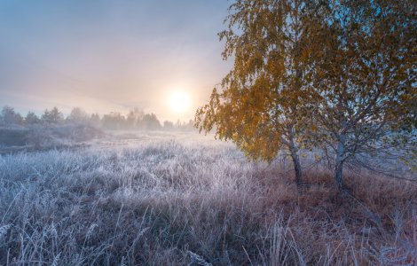 Prognoza meteo ANM pentru weekendul 19-20 noiembrie. 0 grade Celsius în sudul Moldovei