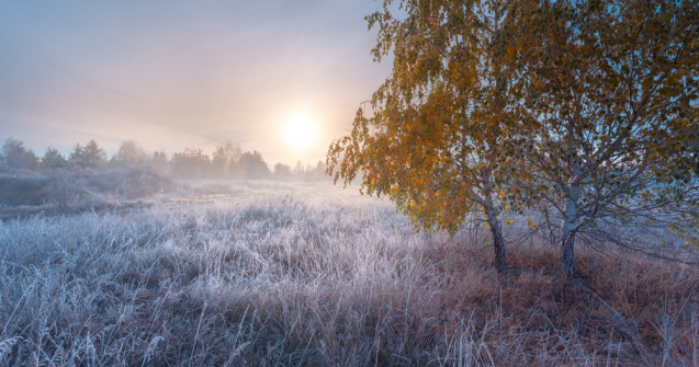 Prognoza meteo ANM pentru weekendul 19-20 noiembrie. 0 grade Celsius în sudul Moldovei