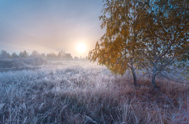 Prognoza meteo ANM pentru weekendul 19-20 noiembrie. 0 grade Celsius &icirc;n sudul Moldovei