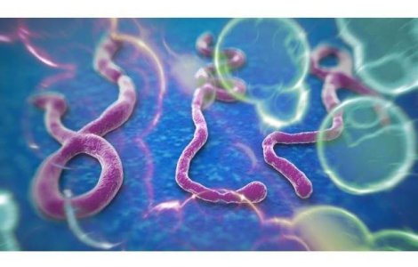 OMS: Peste 1.300 de persoane, UCISE de Ebola!