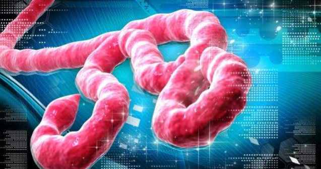 Expert OMS contaminat in Sierra Leone cu Ebola