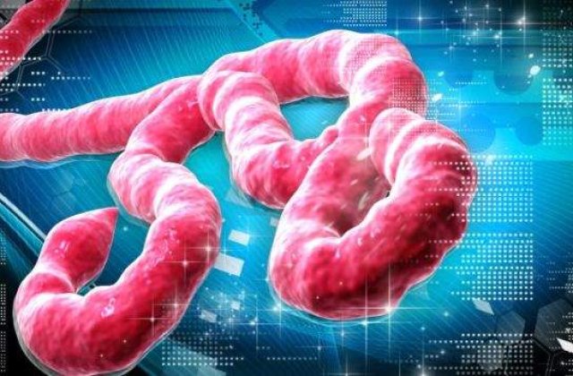 Expert OMS contaminat in Sierra Leone cu Ebola
