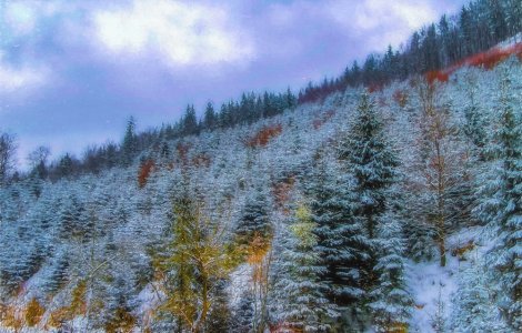 Prognoza meteo ANM pentru marți, 29 noiembrie. Precipitații mixte în Moldova