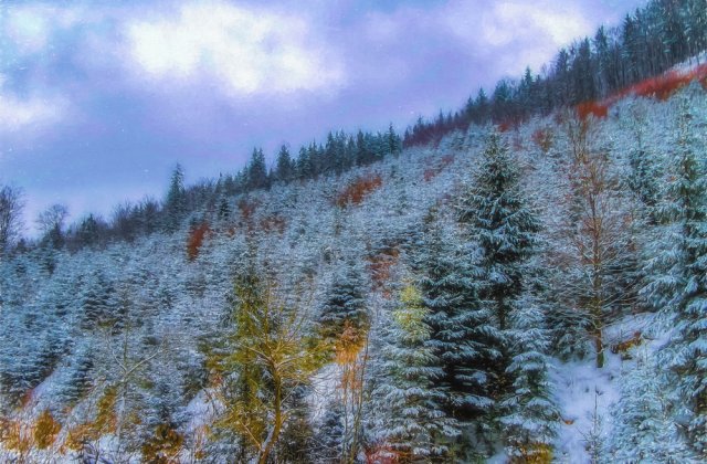 Prognoza meteo ANM pentru marți, 29 noiembrie. Precipitații mixte &icirc;n Moldova