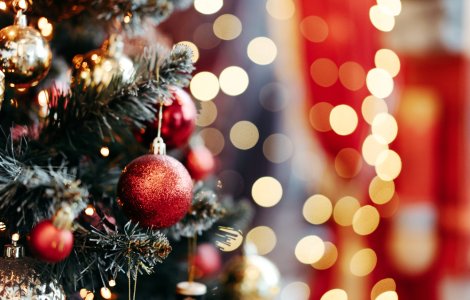 Un bărbat a furat luminițele de Crăciun ce urmau să fie montate într-un parc