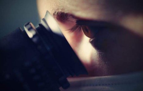 Structura celulara misterioasa descoperita intr-un meteorit de pe Marte