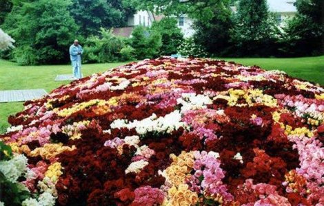  Video  Un american a creat cea mai MARE ghirlanda din lume