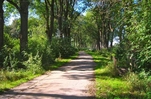 Prognoza meteo: Starea vremii in primele doua saptamani de toamna