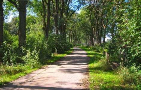  Top  Prognoza meteo: Starea vremii in primele doua saptamani de toamna