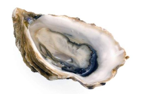 Un italian a gasit cinci PERLE in stridiile comandate la un restaurant