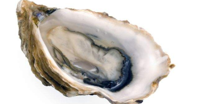 Un italian a gasit cinci PERLE in stridiile comandate la un restaurant