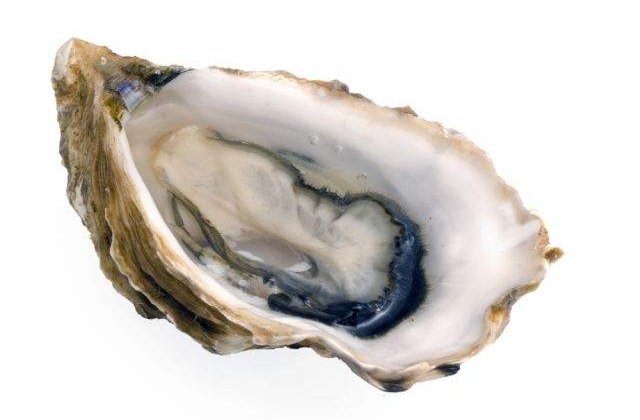 Un italian a gasit cinci PERLE in stridiile comandate la un restaurant