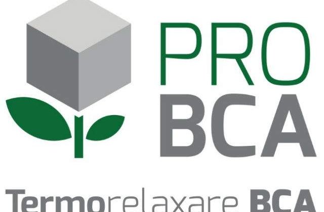 (P) Durabilitate si confort cu zidarie din BCA