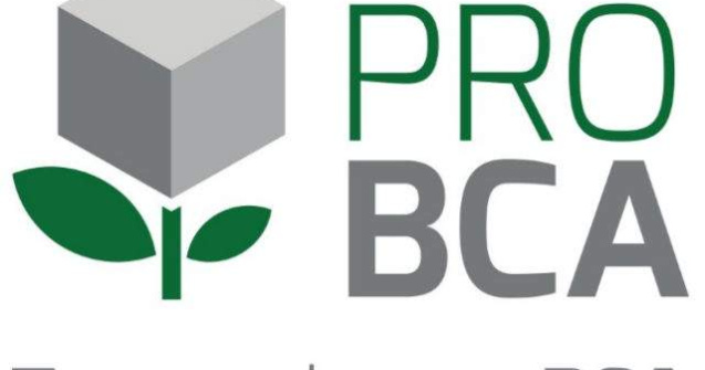 (P) Durabilitate si confort cu zidarie din BCA