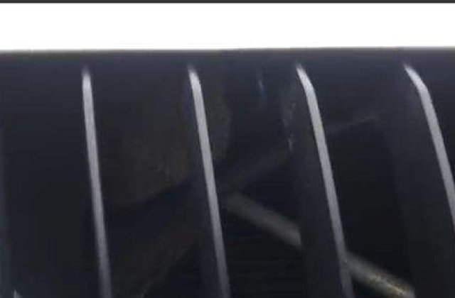 [VIDEO] O veverita a ramas blocata intr-un BMW! Iata cum a fost salvata!