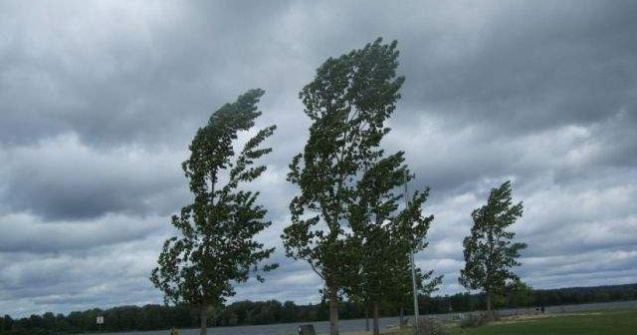 Bucuresti si cinci judete, sub cod galben de vant pana la 17.00
