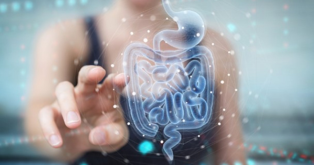 7 moduri de a avea grijă de flora intestinală