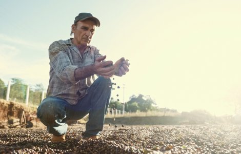 România, pământ scump și râvnit. Străinii dețin o treime din terenurile arabile ale țării noastre. Zonele dominate de turci, italieni și arabi