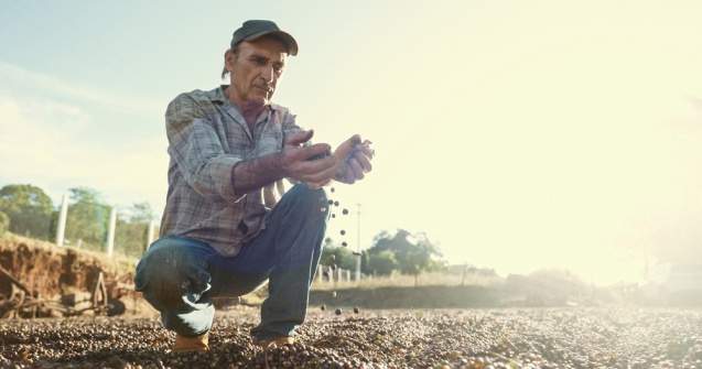 România, pământ scump și râvnit. Străinii dețin o treime din terenurile arabile ale țării noastre. Zonele dominate de turci, italieni și arabi