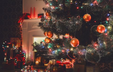 Cele mai neobișnuite lucruri despre Crăciun. Care au fost primele ornamente ale pomilor de Crăciun