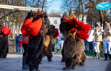 Obiceiuri şi tradiţii românești de Anul Nou: Plugușorul, Capra, Ursul și Sorcova