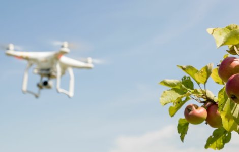 Sustenabilitatea Audi: de la reciclarea plasticului, la monitorizarea livezilor