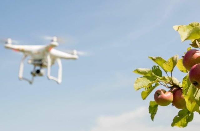 Sustenabilitatea Audi: de la reciclarea plasticului, la monitorizarea livezilor 