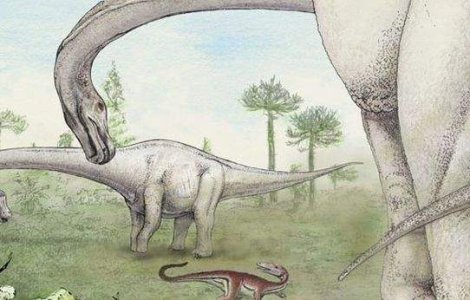  Video  Scheletul unui dinozaur URIAS au fost descoperite in Argentina