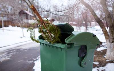 Ce fac românii cu brazii după...