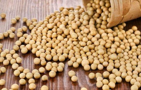 ATENTIE la SOIA: Poate favoriza dezvoltarea mai rapida a cancerului