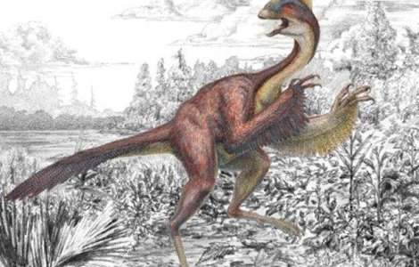 Ramasitele unui dinozaur ierbivor URIAS in Tanzania