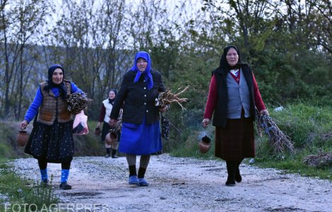 Satul unde primarul taie salariile angajaților și cu 1.500 de lei pentru a face economii la buget