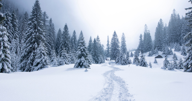 Zonele din România unde zăpada a atins peste un metru
