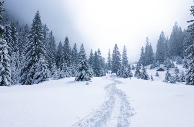 Zonele din Rom&acirc;nia unde zăpada a atins peste un metru jumătate