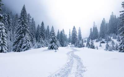 Zonele din România unde...