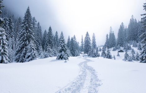 Zonele din România unde zăpada a atins peste un metru