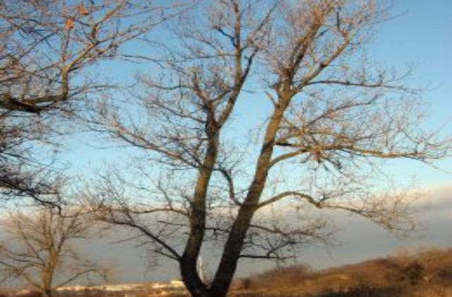 Prognoza meteo: Starea vremii la sfarsitul saptamanii